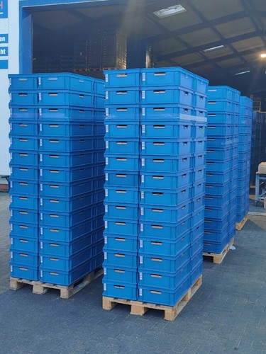Stapelkiste Transportkiste Lagerkiste Rako 64-17 gebraucht 600x400x170mm Blau - Bild 6 von 6
