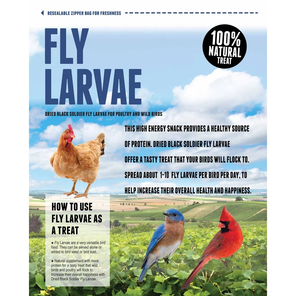 20 Lbs Bag Fly Larvae - 20 LBS TOTAL!!!! - Image 4 of 4