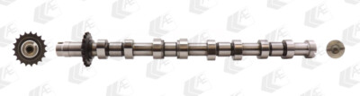 AE CAM751 Camshaft for Chevrolet, Citroen, Fiat, Lancia, Peugeot, Suzuki