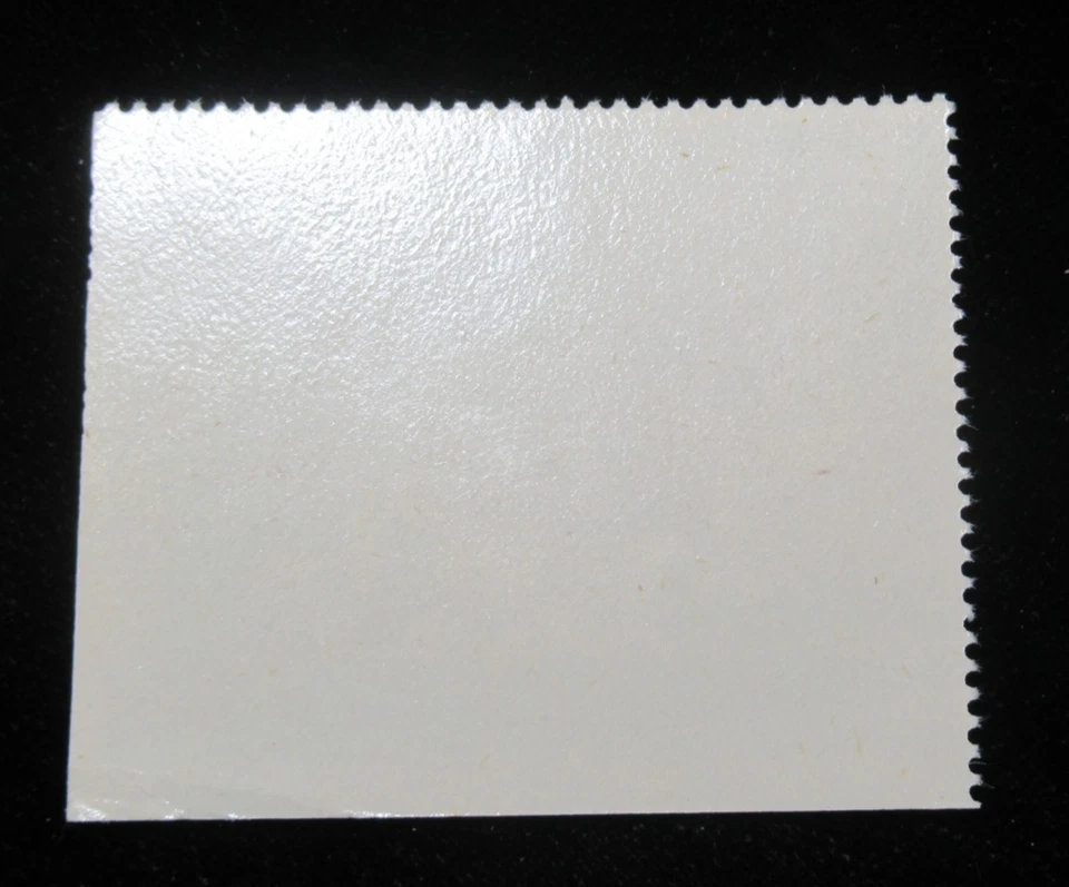 US Vintage Cinderella Stamp Boy Town Nebraska High School Dining Hall 1950s MNH - Image 3 of 3