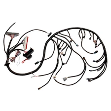 LS1 Engine Standalone Wiring Harness 4L60E DBC Compatible with GM DBC LS1 4.8 5.