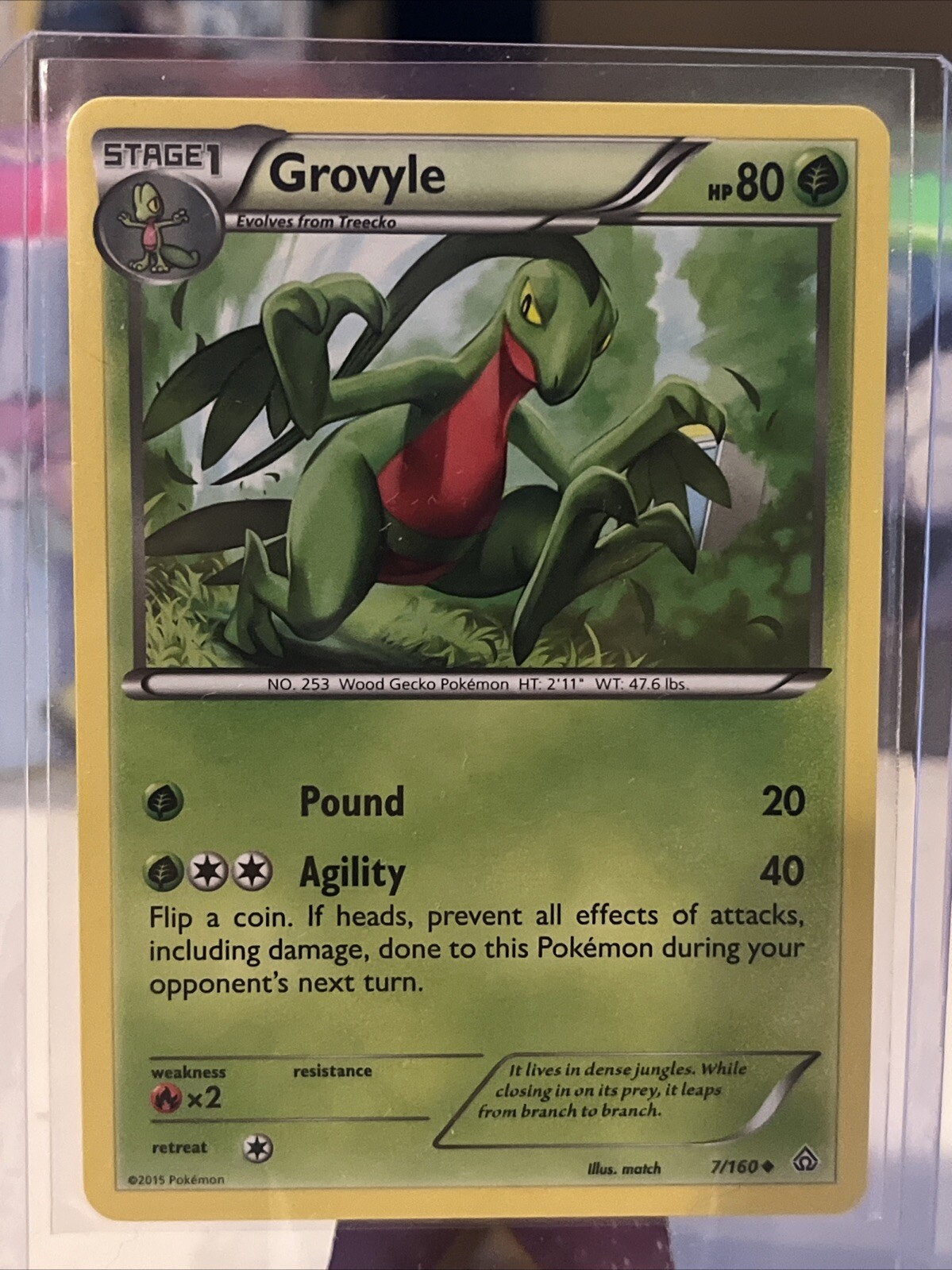 Pokémon TCG Grovyle Primal Clash 7/160 Regular Uncommon LP