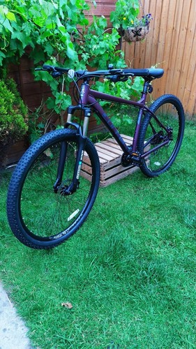 Carrera Hellcat Mountain Bike Purple 