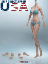 PHICEN TBLeague 1/6 Anime Girl Female SEAMLESS FIGURE L BUST S36A PALE Figure