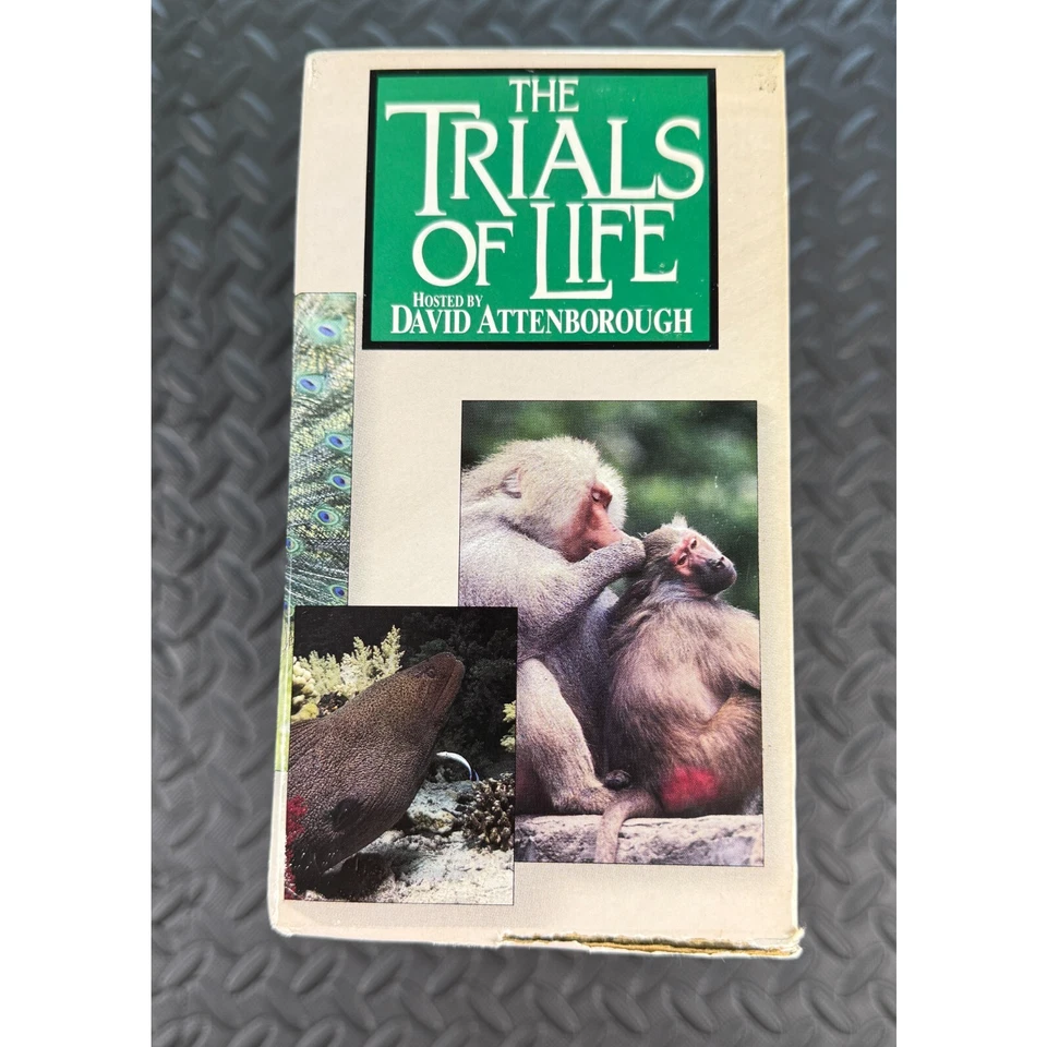 Time Life David Attenborough's The Trials of Life 12-VHS Box Set - 1992 (NEW) - Image 2 of 4