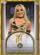 ⭐ TOPPS WWE SLAM | MUSEUM COLLECTION 25 | COMPLETE SETS ⭐