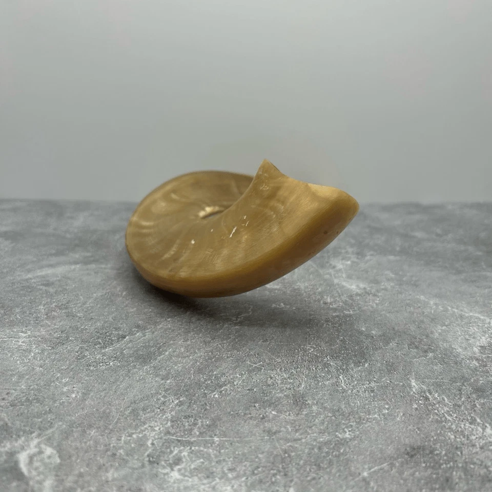 Davida Yehuda Hand Painted Anointing Oil Ram Horn Polished Shofar - Image 3 of 4