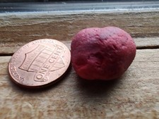 Rare Opaque Pinkish-Red Sea Glass - 4g Genuine Milky Pastel Specimen