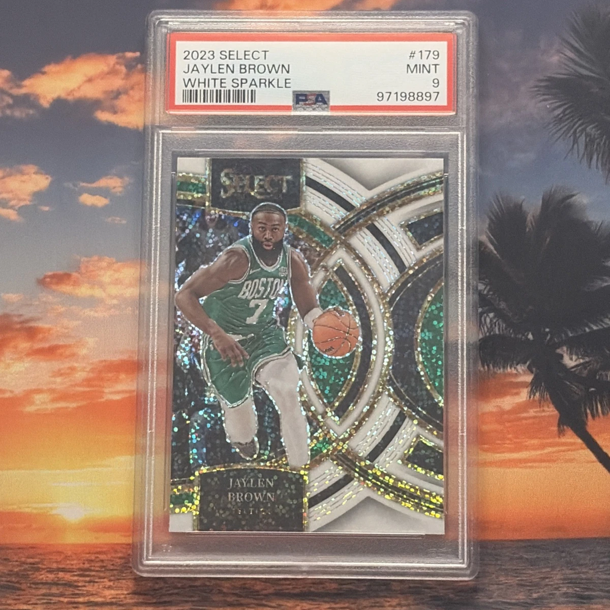 Las mejores ofertas en 2023-24 Panini Select - Jaylen Brown #179