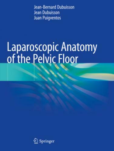 Thumbnail - Laparoscopic Anatomy Of The Pelvic Floor 6286