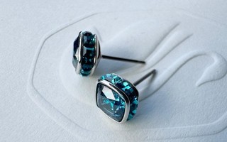 Swarovski Ohrringe Neu Inklusive Original Verpackung Unbenutzt