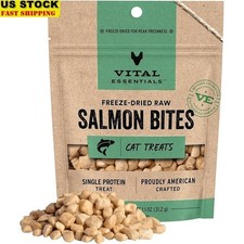 Freeze Dried Salmon Cat Treats Raw Bites High Protein Skin Digestive Support New