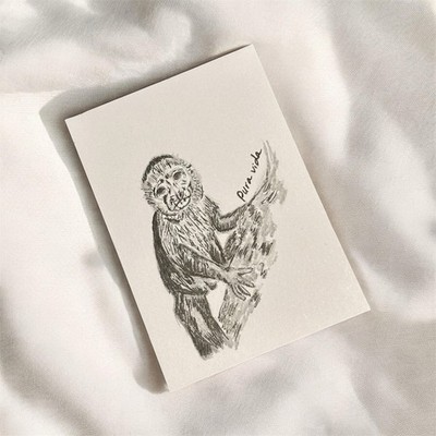 Pura Vida Original Monkey ACEO Drawing   Pen & Graphite Geminiarts