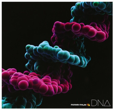 DNA MONKEY MAJIK 13 songs included Japanese-POP CD Album Limited Edition New