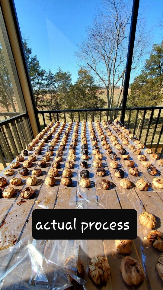 Ajo negro 100 % orgánico 1/2 lb de EE. UU. Ideal para sistema inmunológico sellado al vacío Foto 4 de 4