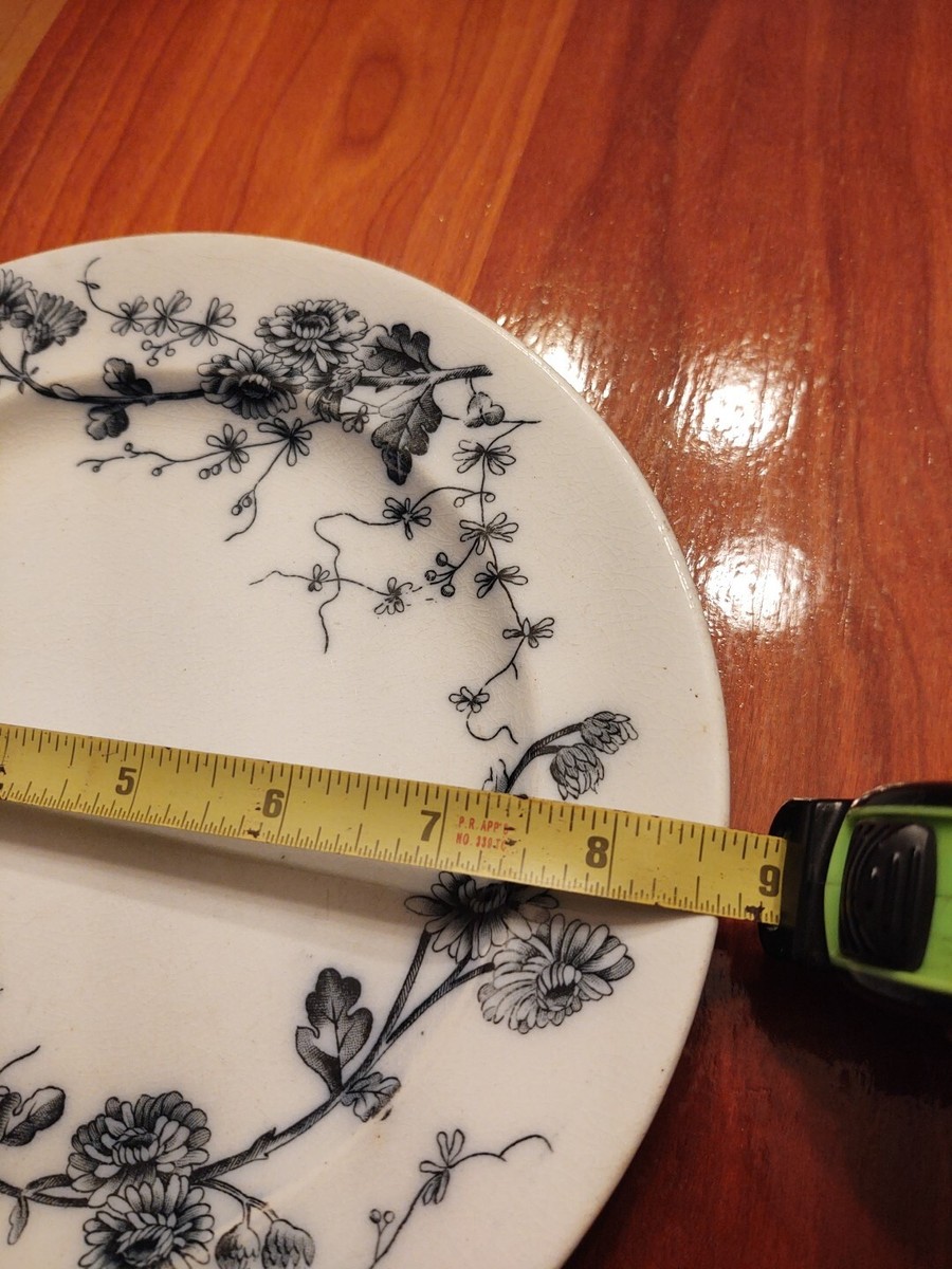 1800 W.H. Grindley Plate, England | eBay