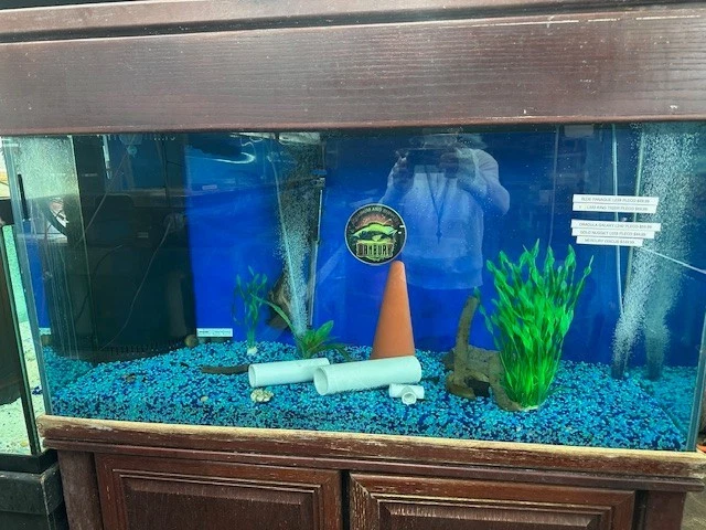 USADO 90 GALONES PECERA, SOPORTE, DOSEL, SUMIDERO Y LUZ Foto 2 de 3