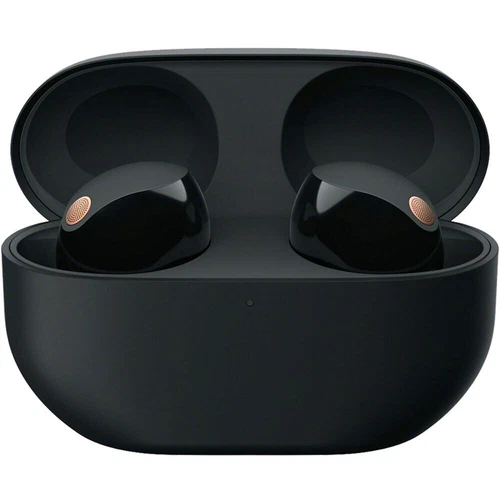 Sony WF-1000XM5 True Wireless Noise Cancelling Earbuds Black