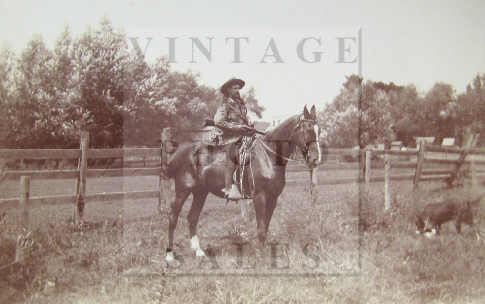 Old Indian Wars Western Army Scout Buffalo Hunter Cabinet Card Photo Photograph