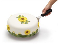 KitchenCraft Round Stainless Steel Cake Lifter/Mover Also Use for Pizza 25cm