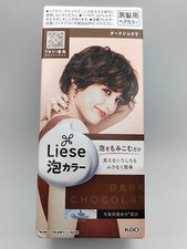 US Seller KAO LIESE Prettia Bubble Foam Hair Dye Kit Dark Chocolate Color New