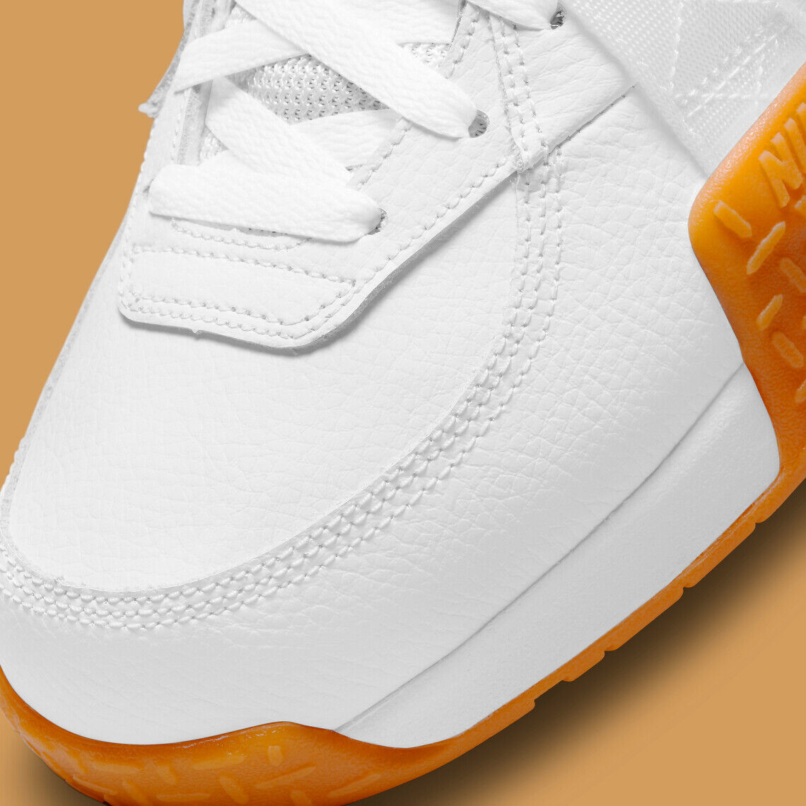 Who Cares: Nike Air Determination Tim Hardaway PE (1999) - KICKSIGMA