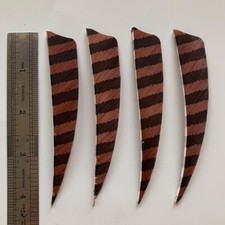 50PCS 4inch Striped Brown Shield Fletches Feathers Fletching RW LW