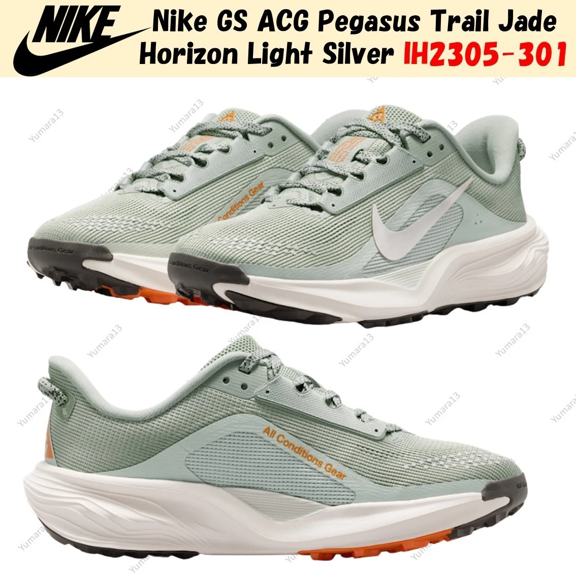 Nike GS ACG Pegasus Trail Jade Horizon Light Silver IH2305-301 Size 3.5Y-7Y