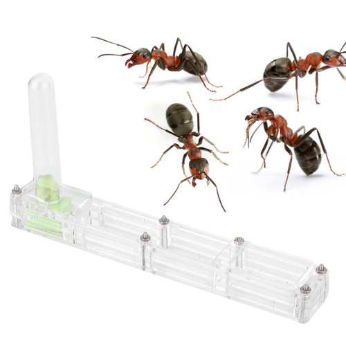 Acrylic Ant Breeding House Formicarium Display Box With Water Tower Moi ZOK - Picture 11 of 11