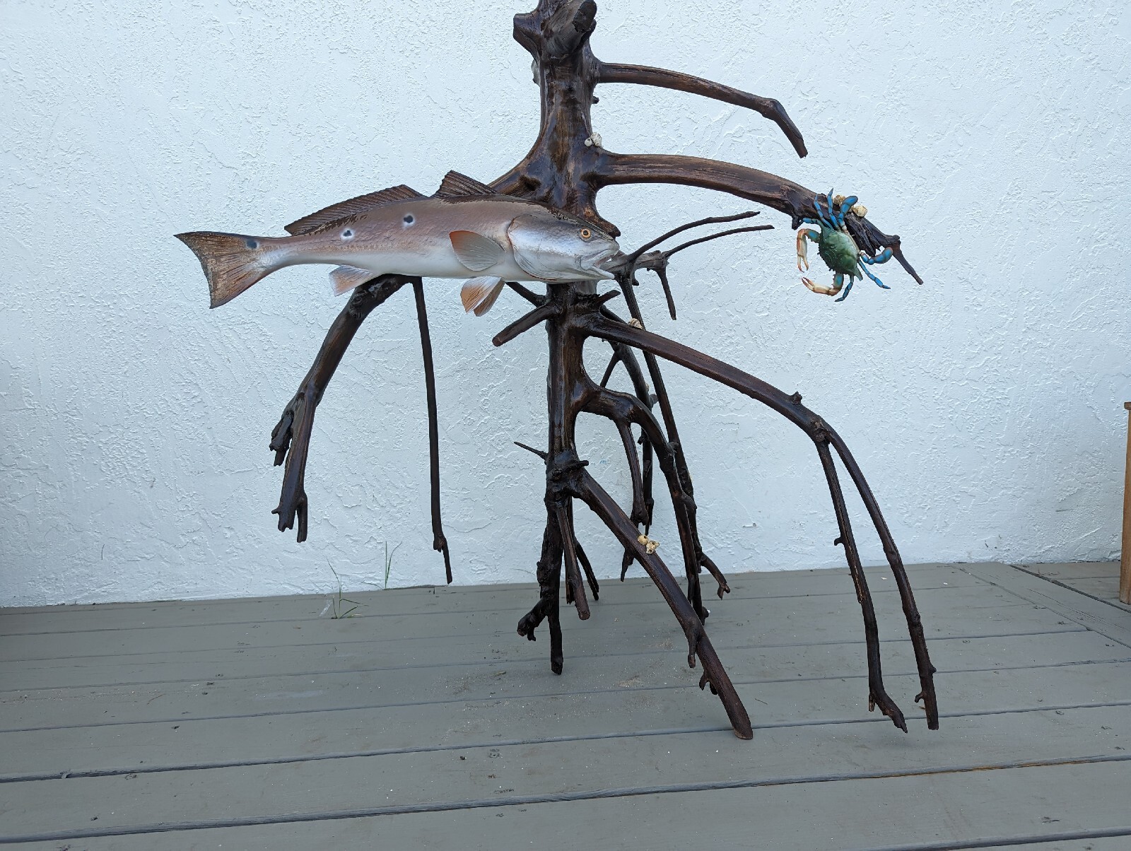 Redfish Blue Crab Mangrove 3-Dim. Mount Sculpture taxidermy mounted ...