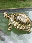 Rare Vintage Brush McCoy Art Pottery Turtle Figurine Brown 5"  see description
