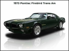 1973 Pontiac Firebird Trans Am New Metal Sign Large Size 12 X 16 - Primo 1973 Pontiac Firebird Trans Am New Metal Sign Large Size 12 X 16 - Primo