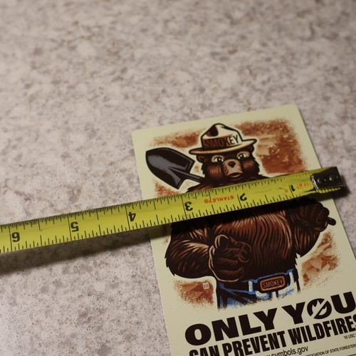 3.5" x 5" SMOKEY BEAR - ONLY YOU CAN PREVENT FOREST FIRES Refrigerator Magnet - Picture 4 of 4