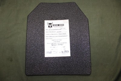 REAL AR500 ARMOR Level 3 III Body Armor Plate Curved 10 x 12 Flat Build ...