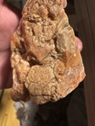 Teepee Canyon Agate Rough Natural Gemstone 5 OZ — photo 4