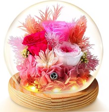 Real Rose Flower Gifts Forever Preserved Flowers for Delivery Prime Birthday Gif