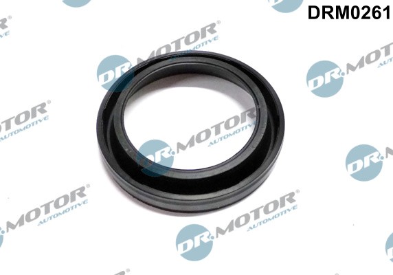 Dr.Motor Automotive DRM0261 Dichtung, DüSenhalter For Mazda-image