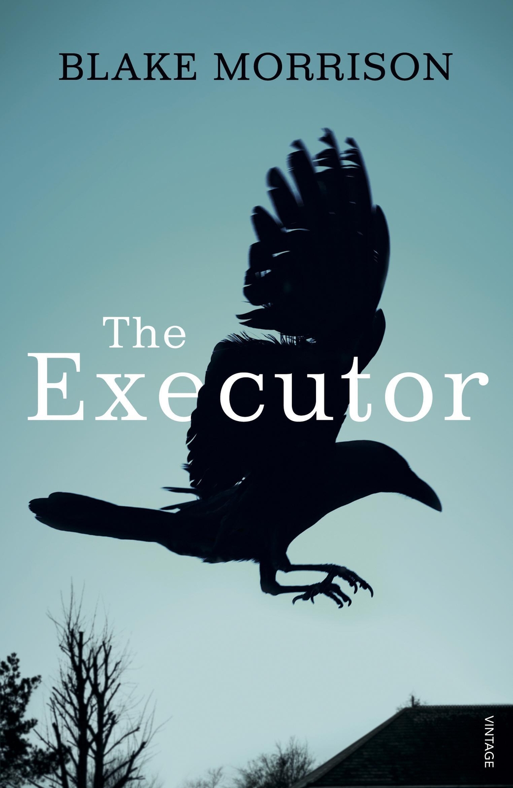 Thumbnail - The Executor | Blake Morrison | Englisch | Taschenbuch | Kartoniert /