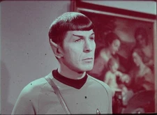 Star Trek TOS 35mm Film Clip Requiem for Methuselah SPOCK Leonard Nimoy 3.19.44