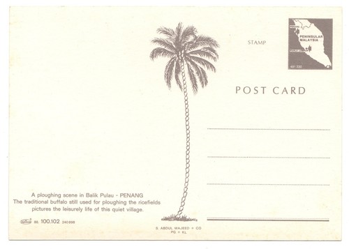Balik Pulau Penang Rice Ploughing Scene Postcard Unposted - Picture 2 of 2