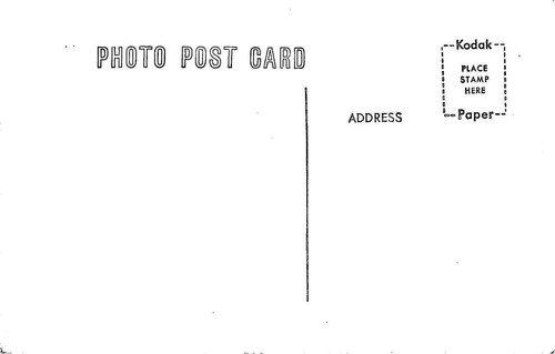 RPPC Portland Lumber Co. Oregon 1912 Ansicht Holzfäller Zug Eisenbahn c1950er Jahre Vintage - Bild 2 von 2