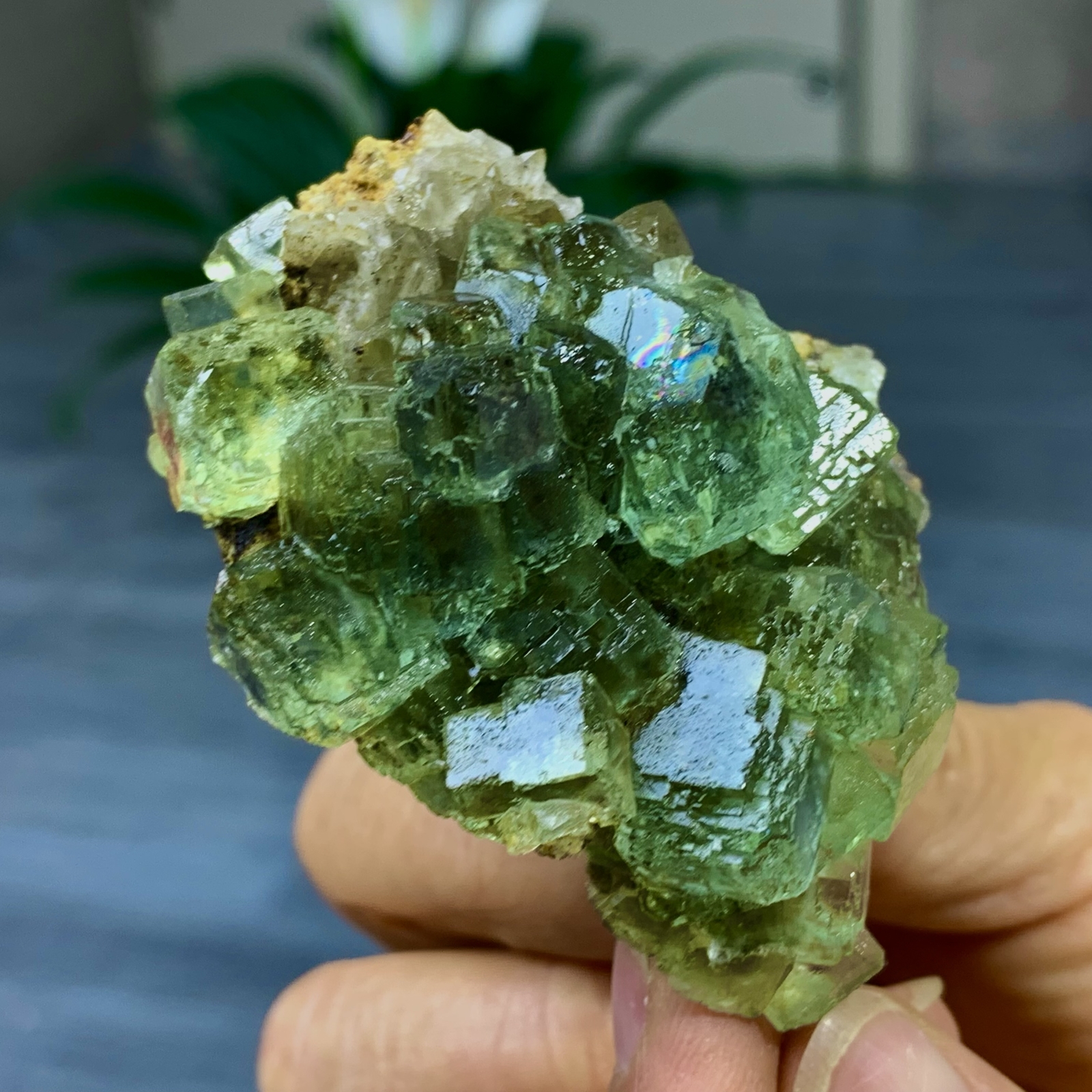 105G Rare Transparent Green Cubic Fluorite Crystal Specimen from China