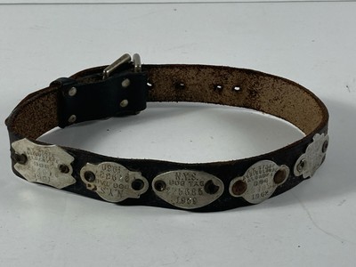 dog collar license