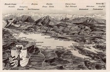 Germany Bodensee Panorama Map Coat of Arms Lake RPPC vintage postcard