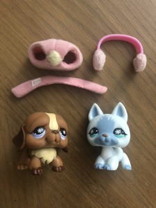 lps australian shepherd