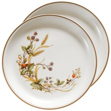 Marks And Spencer Harvest Dinner Plates X2