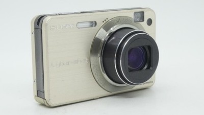 Sony Cyber-shot DSC-W170 10.1MP Digital Camera - Silver (DSC-W170