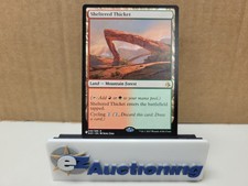 Magic: The Gathering - Sheltered Thicket PLST AKH-248