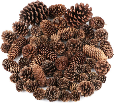 Jangostor 60 Pine Cones Decorations - Natural Bulk Package, Large Medium & Mini