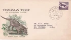 AFD6677) Australia FDC 1962 Wesley, Tasmanian Tiger, Addressed